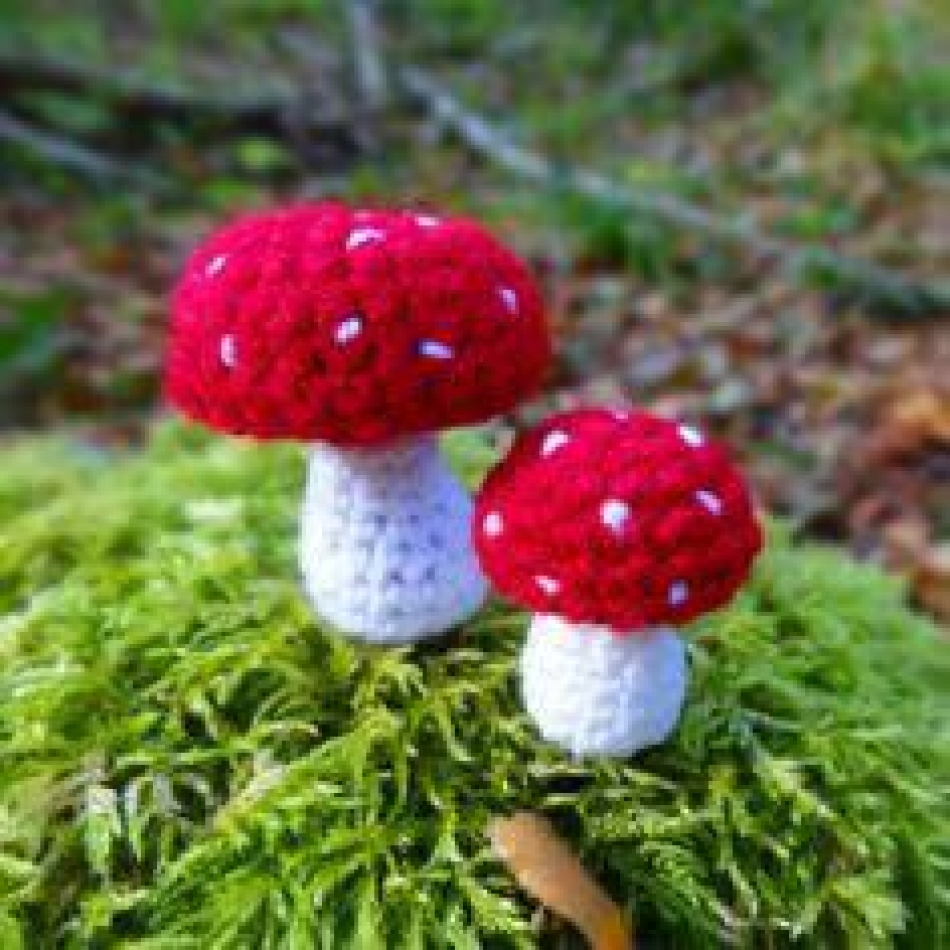 Create 4 fruit crocheted patterns